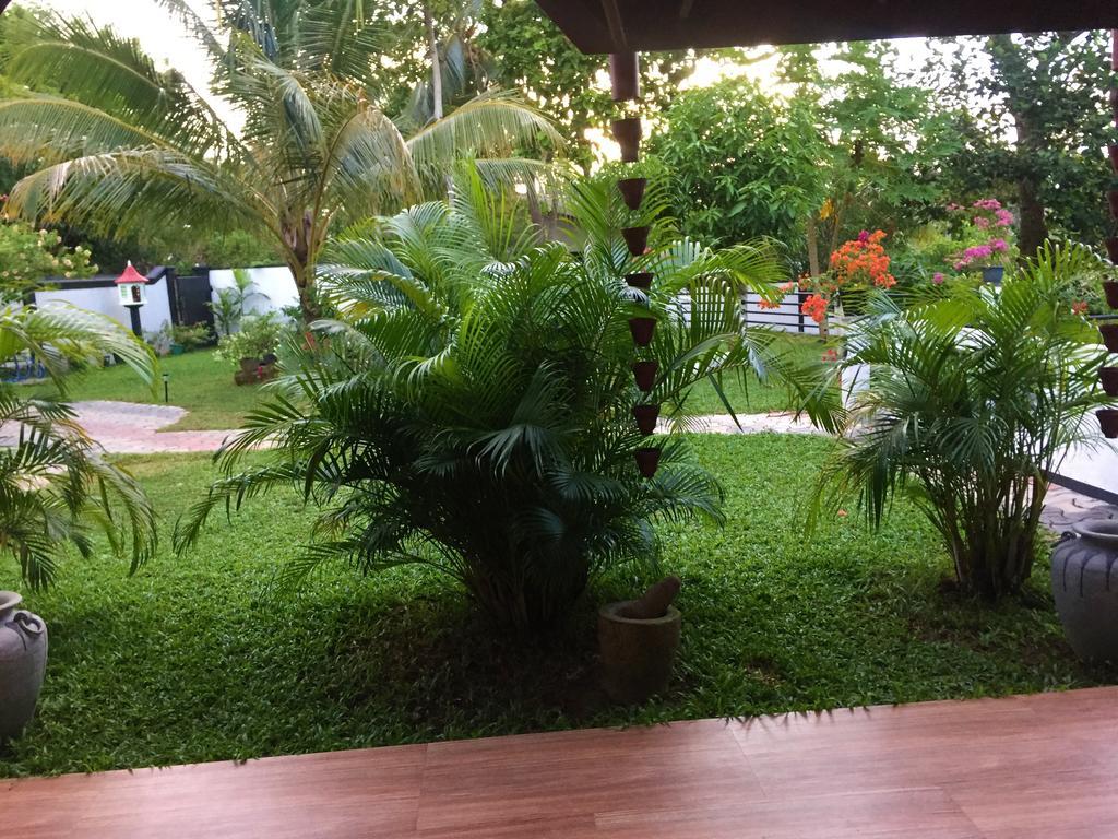 Villa Shanaya ฮิกคาดูวา ภายนอก รูปภาพ